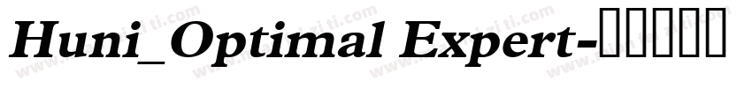 Huni_Optimal Expert字体转换